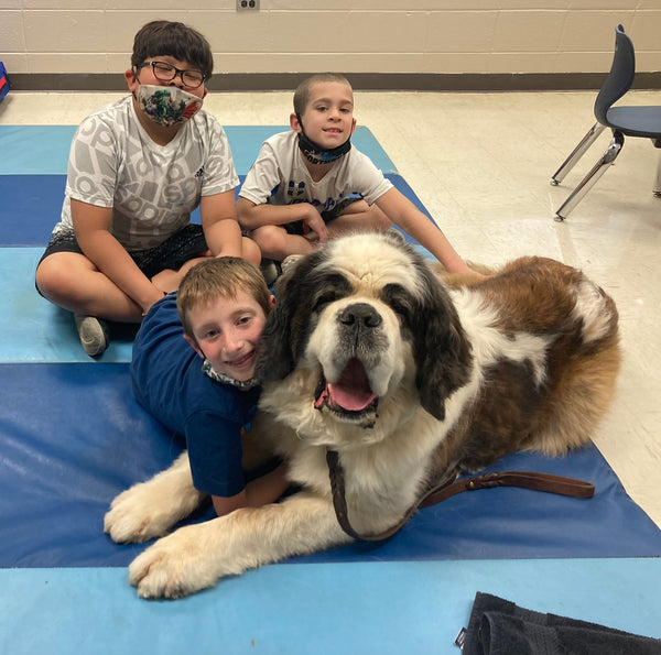 Animal Assisted Therapy - Summer 2023